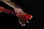 Baqueta Acrilica com LED - Liverpool - Imagem 3