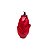 Fava Flor de Pombagira Ligação ao Amor Tipo 2 - Unidade - Imagem 3