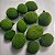 Fava de Oxóssi Para Rituais e Conexão da Natureza Unidade - Imagem 3