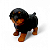 Estatueta Delicada Cachorrinho Rottweiler Detalhado 14 cm - Imagem 1