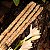 Incenso Botânico Magnolias Amor Próprioo Sagrada Madre 23 cm - Imagem 3