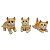 Enfeite Trio de Gatinhos Laranjas Detalhados em Resina 7 cm - Imagem 1