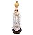 Estátua Nossa Senhora De Fátima Orando Resina 20cm - Imagem 1