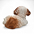 Estatueta Cachorrinho Cocker Spaniel Americano Delicado 14cm - Imagem 3