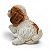 Estatueta Cachorrinho Cocker Spaniel Americano Delicado 14cm - Imagem 2