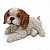 Estatueta Cachorrinho Cocker Spaniel Americano Delicado 14cm - Imagem 1