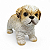 Estatueta Cachorrinho Shih tzu Detalhado Delicado 14 cm - Imagem 1