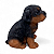 Estatueta Delicada Cachorrinho Rottweiler Sentado 14 cm - Imagem 2