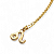 Colar Leão Signo do Zodíaco Pingente Dourado 30 cm - Imagem 3