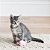Brinquedo para Gatos Eeeks Ratinho Marrom com Catnip - Imagem 3