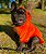 Blusa para Cachorros e Gatos Gatinho Laranja - Imagem 6