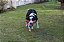 Brinquedo para Cachorros Frisbee Tri Bumper Chuckit - Imagem 2