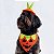 Fantasia de Halloween para Cachorros e Gatos Abóbora - Imagem 1