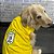 Regata para Cachorros Copa do Mundo Brasil Amarelo - Imagem 4