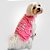 Regata com Proteção UV para Cachorros Beach Rosa Chiclete - Imagem 3