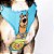 Peitoral Air para Cachorros New Scooby-Doo - Imagem 5