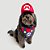 Fantasia para Cachorros e Gatos Super Mario Bros - Imagem 1