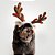 Fantasia de Natal para Cachorros e Gatos Chifres de Rena com Orelhas - Imagem 3