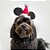 Fantasia de Natal para Cachorros e Gatos Gorro Mickey Noel - Imagem 2