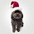 Fantasia de Natal para Cachorros e Gatos Gorro Papai Noel Premium - Imagem 3