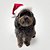 Fantasia de Natal para Cachorros e Gatos Gorro Papai Noel Premium - Imagem 1