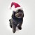 Fantasia de Natal para Cachorros e Gatos Gorro Papai Noel Premium - Imagem 2