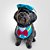 Fantasia para Cachorros e Gatos Pato Donald - Imagem 5