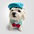 Fantasia para Cachorros e Gatos Pato Donald - Imagem 4