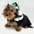 Poncho com Gorro de Natal Xadrez Verde para Cachorros e Gatos - Imagem 3