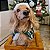 Poncho com Gorro Enfeites de Natal para Cachorros e Gatos - Imagem 6