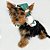 Poncho com Gorro Enfeites de Natal para Cachorros e Gatos - Imagem 1