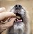 Petisco para Cachorros Carnilove Soft Snack Duck Enriched with Rosemary - Imagem 2