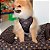 Peitoral com Guia para Cachorros Crush Evolution Prime LV Inspiration - Imagem 2