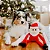 Pelúcia para Cachorros Zippy Paws Holiday Crinkle Santa - Imagem 2
