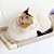 Cama de Janela para Gatos Catbed Suede Marfim - Imagem 2