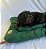 Almofada Impermeável Verde Bandeira para Cachorros - Imagem 6