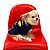 Roupinha Pet Moletom Sem Capuz para Cachorros F1 Red Dog - Imagem 3