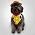 Fantasia para Cachorros e Gatos Inspiração Cowboy Woody - Imagem 3