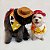 Fantasia para Cachorros e Gatos Inspiração Cowgirl Jessie - Imagem 6