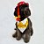 Fantasia para Cachorros e Gatos Inspiração Cowgirl Jessie - Imagem 5