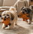 Brinquedo para Cachorros Kit Pelúcias Cotelê - Imagem 2