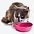 Comedouro para Gatos Cor Sortida - Imagem 5