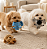 Brinquedo para Cachorros Kit Pelúcias Savana - Imagem 2