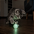 Brinquedo para Gatos Bolinha Luminosa Brilha no Escuro - Imagem 2