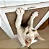 Arranhador para Gatos RonRock Slim Plug Branco com Ventosas - Imagem 2