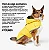 Capa de Chuva para Cachorros Nandog Sport Amarela - Imagem 9