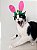 Fantasia de Páscoa Orelhas de Coelho com Enfeites para Cachorros e Gatos - Imagem 4