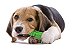 Escova de Dentes Interativa para Cachorros Verde - Imagem 3