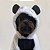 Moletom para Cachorros Urso Panda - Imagem 1