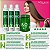 Gelatina Verde 500g ( Passo 4 Cauterização ) - Troia Hair - Imagem 4